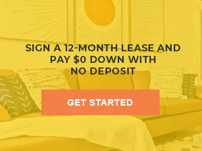 12month special