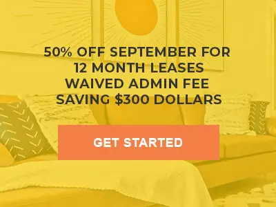 THE HIVE SPECIALS POPUP